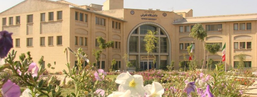 دانشگاه اسلامی